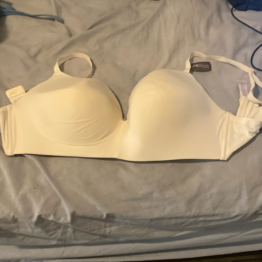 Secret treasures wireless bra
